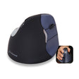 An image of an Evoluent VM4RW mouse on a white background.